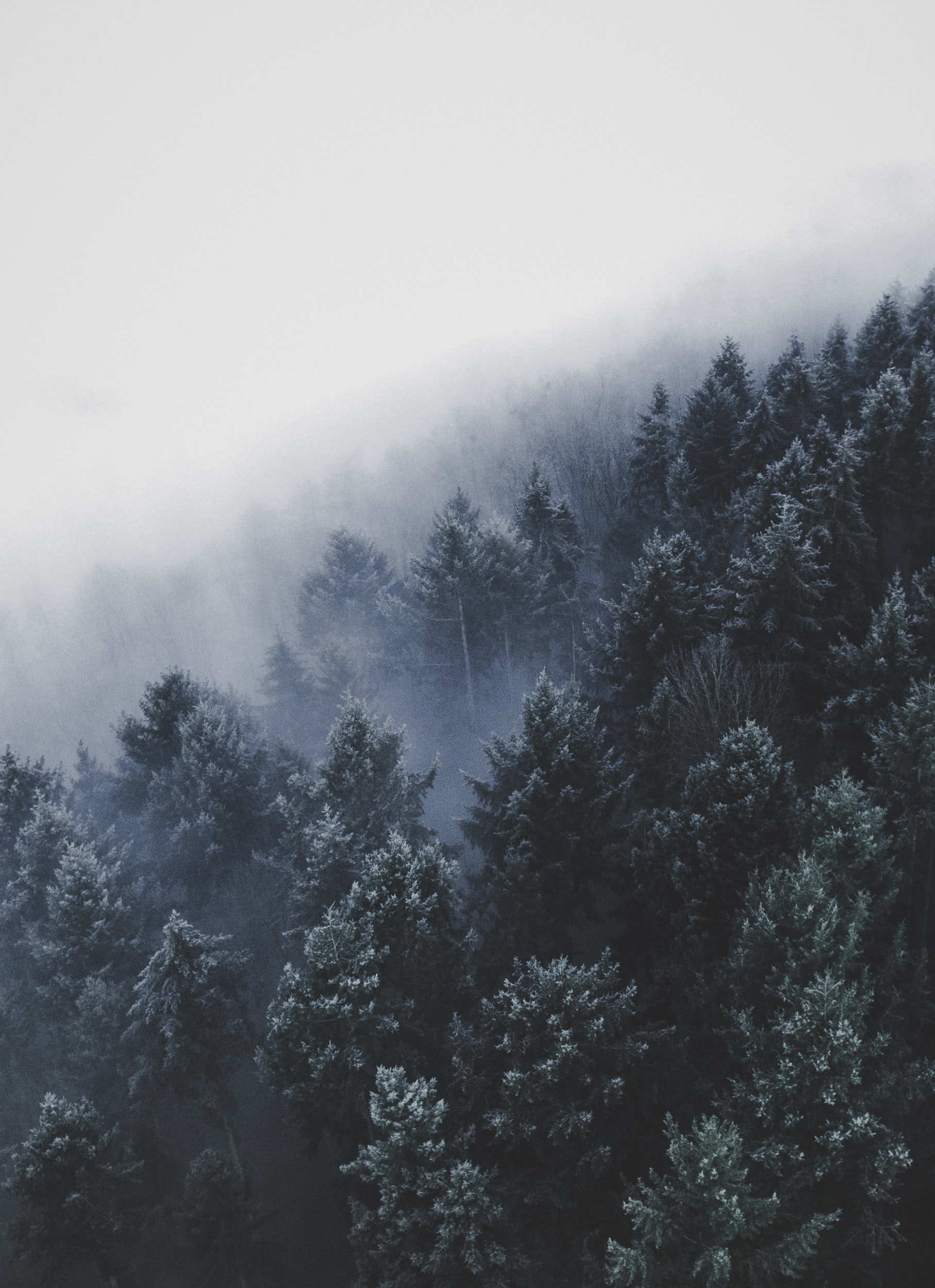 Photo by christian grab on Unsplash