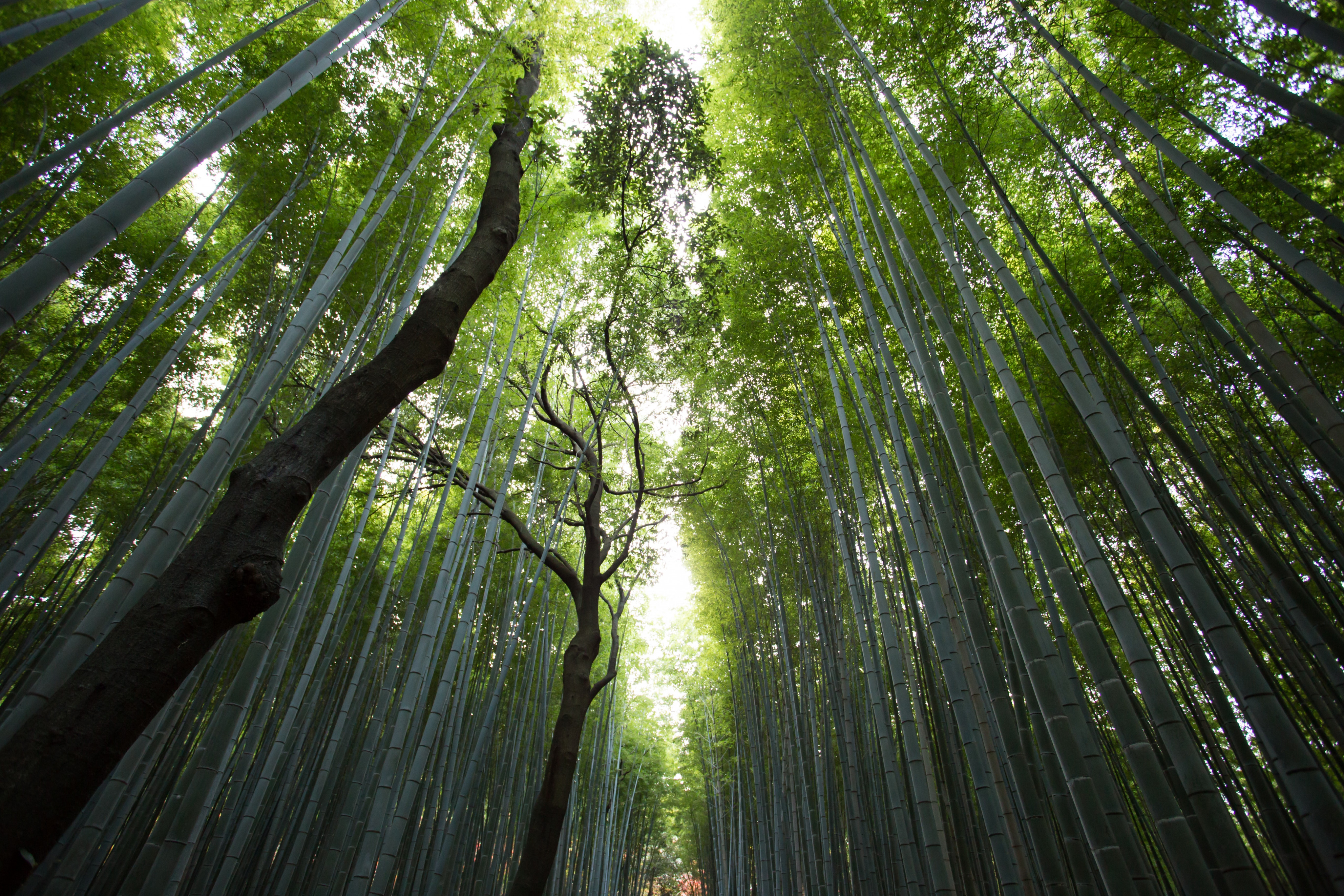 Photo by Jason Ortego on Unsplash