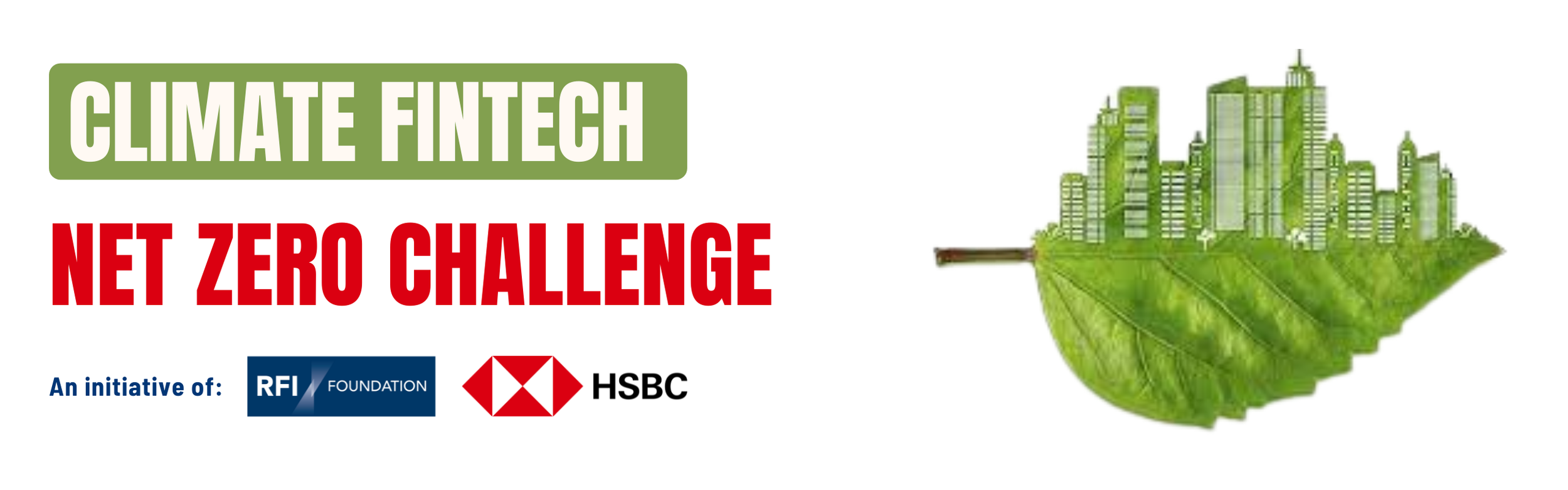Net Zero Challenge