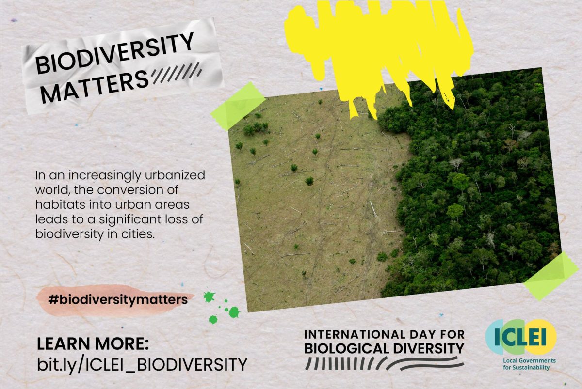 Card-01-BIODIVERSITY-MATTERS-2-scaled.jpg