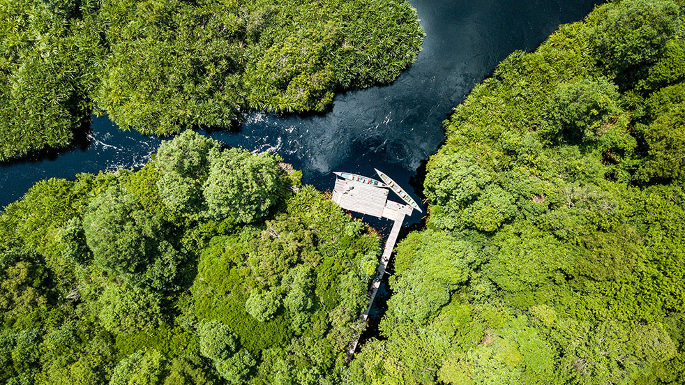 Central-Kalimantan-2019_Aerial.jpg