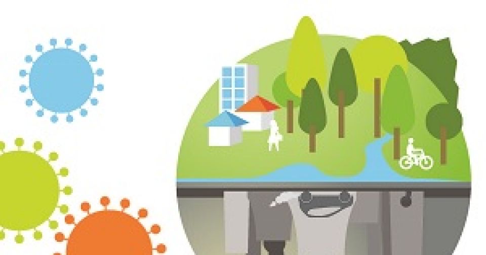 cover-climate-disaster-resilience-low-carbon-covid-19-recovery.jpg