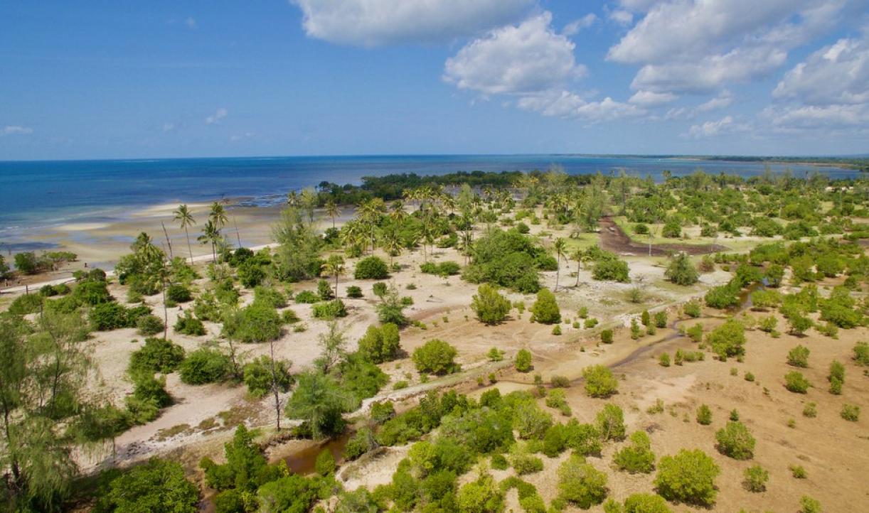 mangrove-restoration-area-vanga-venya-grid-arendal.jpg