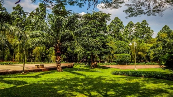 park.jpg