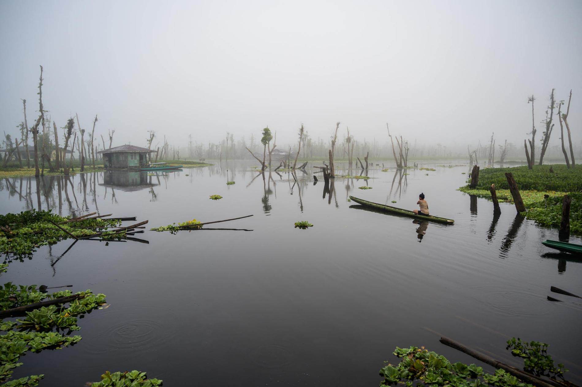 wetlands-day-9.ngsversion.1612291855760.adapt.1900.1.jpg