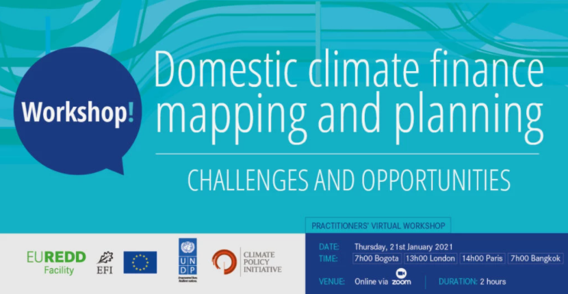 Domestic Climate Finance Mapping &amp; Planning Workshop_ CPI.png